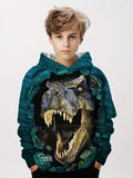 Hoodies Animal Dinosaur Pattern 3D Print Sweatshirts Boys Girls Harajuku Hooded Sweatshirt kids Fashion Coat Children Tracksuits