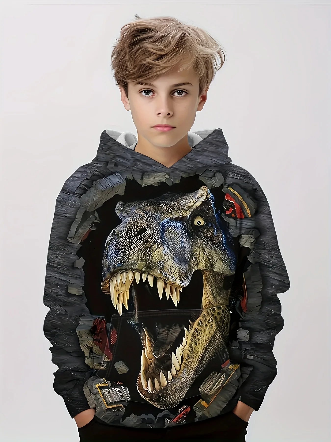 Hoodies Animal Dinosaur Pattern 3D Print Sweatshirts Boys Girls Harajuku Hooded Sweatshirt kids Fashion Coat Children Tracksuits